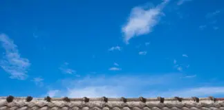 Ristrutturazione-tetto