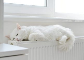 Termoconvettori: Prezzi, Tipologie, Vantaggi e Consigli Utili!