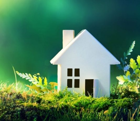Bonus Verde: ecco tutte le novità. Scopri cosa c’è da sapere per ottenerlo