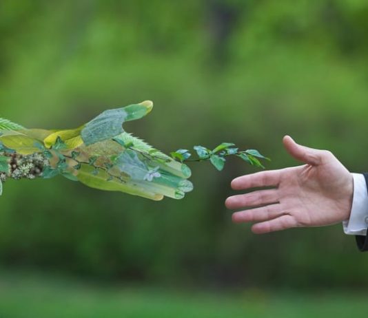 pannelli termodinamici prezzi