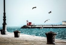 Vivere a Trieste per studiare: dove cercare casa in affitto! vivere-a-trieste-da-studenti