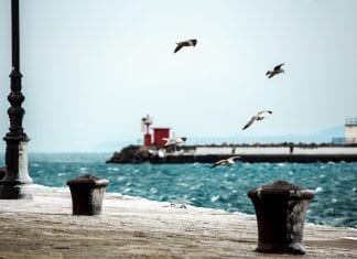 Vivere a Trieste per studiare: dove cercare casa in affitto! vivere-a-trieste-da-studenti