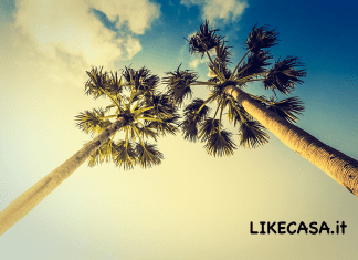 Comprare Casa a Miami: Quanto Costa, Zone Migliori e Tasse! comprare casa a miami beach