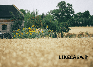 Come vendere una casa in campagna: come vendere na casa al meglio