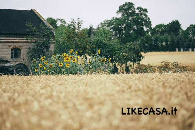 Come Vendere una Casa in Campagna al Meglio e Velocemente!