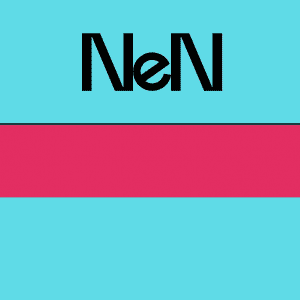 GESTORI GAS E LUCE: NEN