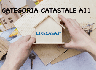categoria_a11