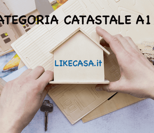categoria_a11