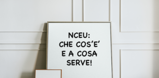 NCEU significato