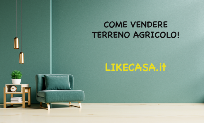 come-vendere-un-terreno-agricolo